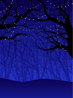 Canopy at night clipart