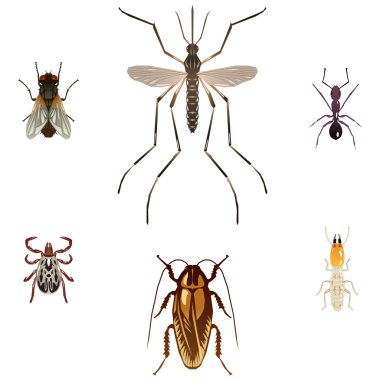 altı zararlı böceklerin çizimler vektör