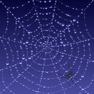 Spiderweb with dew clipart