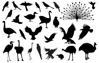 Bird silhouettes clipart