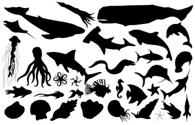 Collected marine life vector silhouettes clipart