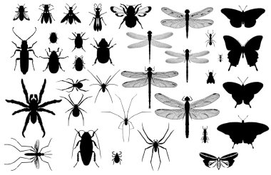 Insect silhouettes clipart