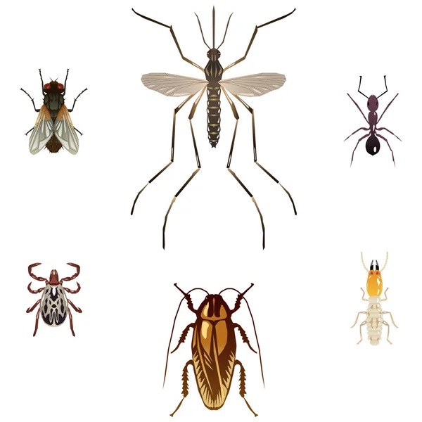 Sechs Vektorillustrationen von Schädlingsinsekten — Stockvektor