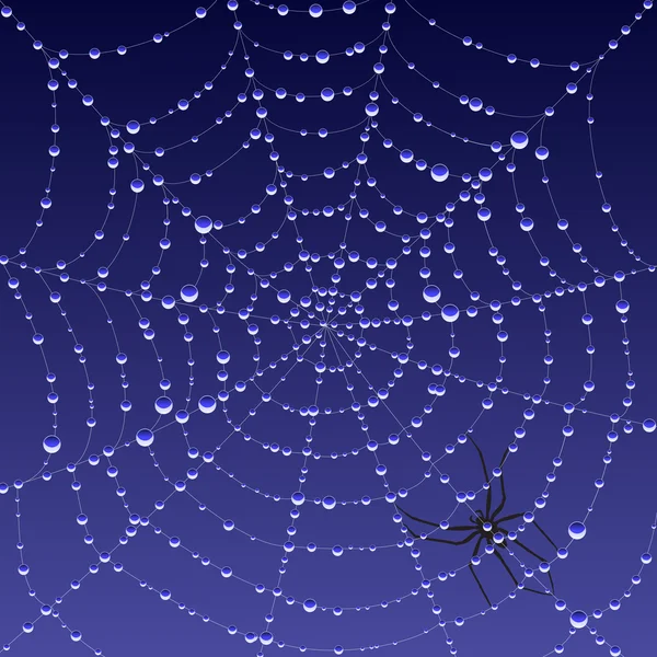 Toile d'araignée avec rosée — Image vectorielle