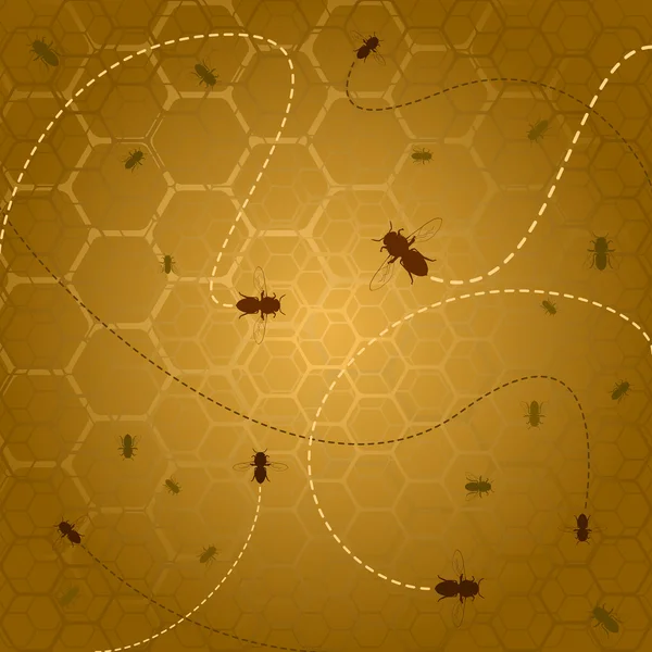 Včely v úlu — Stockový vektor