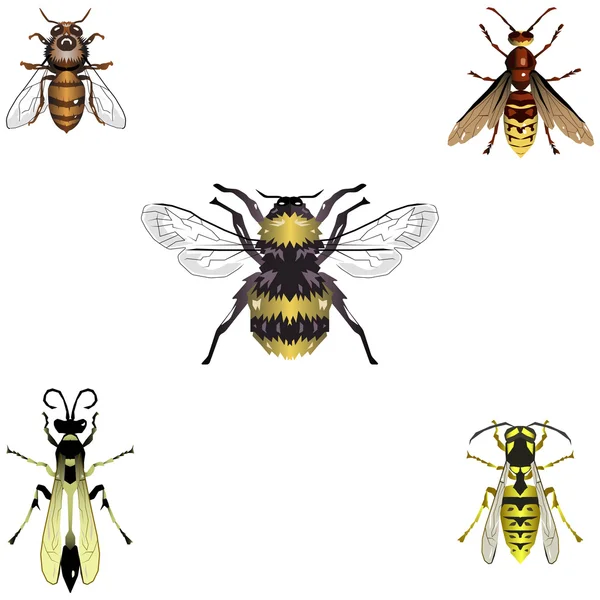 Cinco abelhas vectoras e vespas — Vetor de Stock