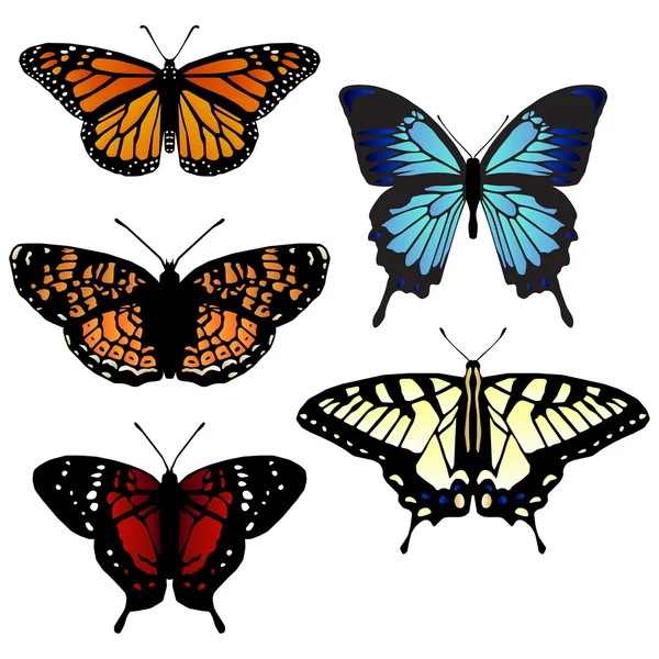 Cinco borboletas vetoriais — Vetor de Stock