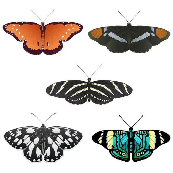 Altre cinque farfalle vettoriali — Vettoriale Stock