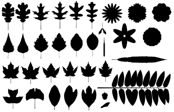 Силуэты листьев и цветов — стоковый вектор