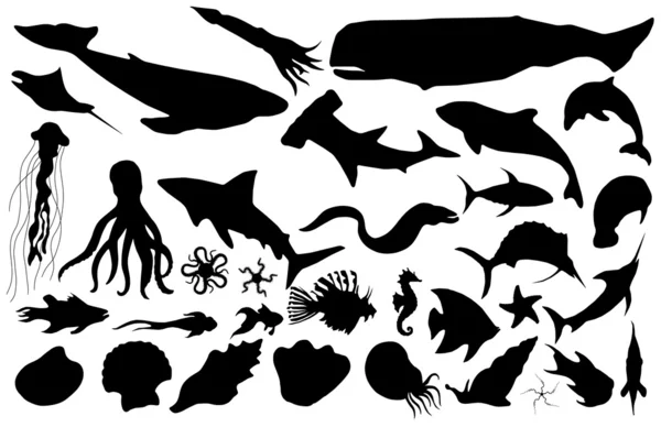 收集到的海洋生物矢量剪影 — 图库矢量图片