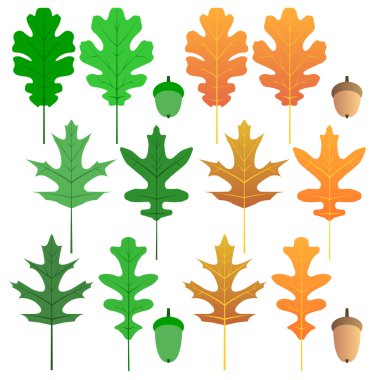 Oak leaf set clipart