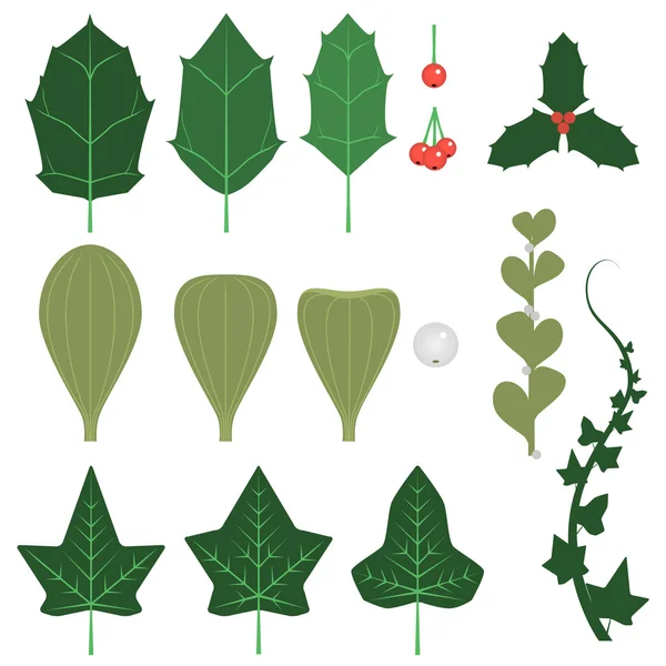 Wakacje zielenizestaw liść brzozy — Wektor stockowy
