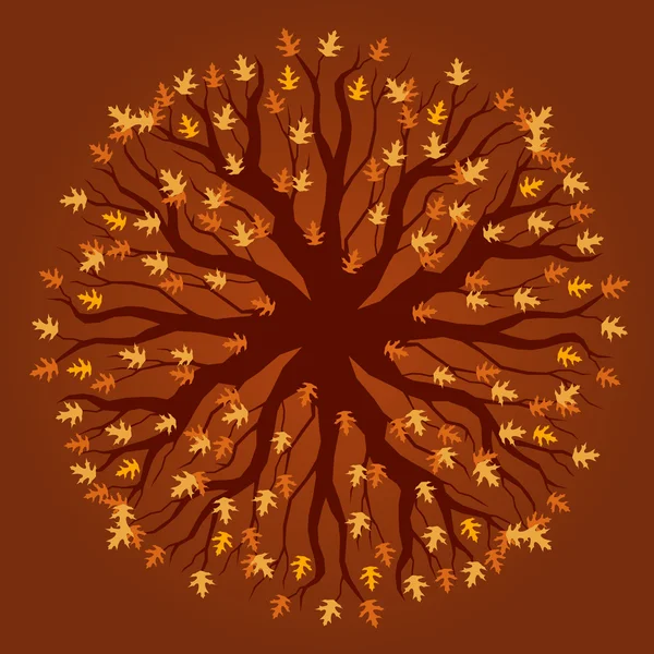 Oak tree - autumn colors — Stock Vector