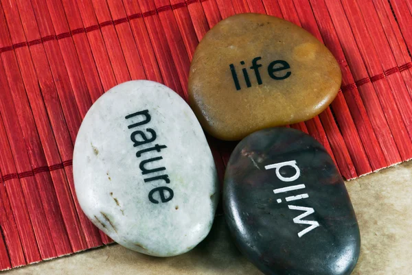 Decorative stones — Stock Photo, Image