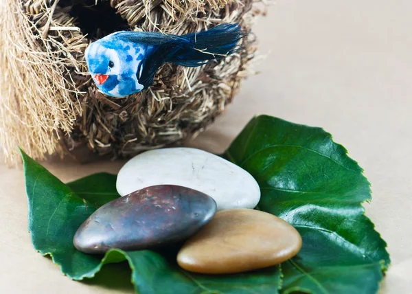 Decoratieve vogelnest met een stenen — Stockfoto