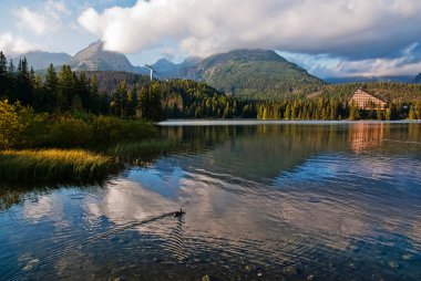 Beautiful mountain lake with reflection clipart