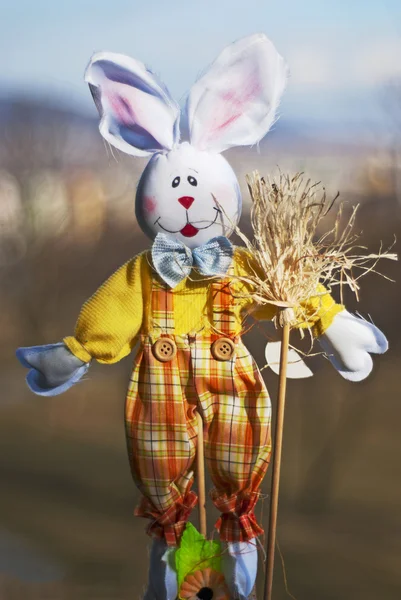 复活节兔子 — 图库照片