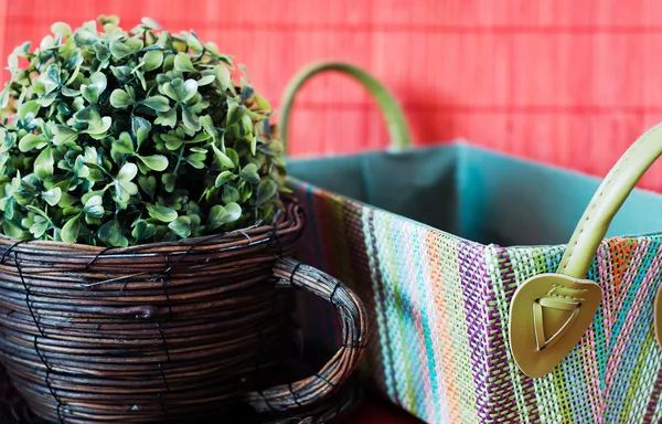 Два декоративних плетених плантатора — стокове фото