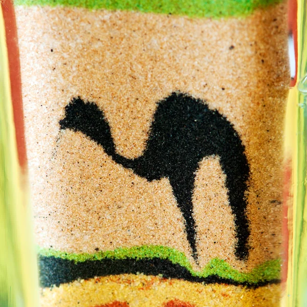 Camelo na garrafa — Fotografia de Stock