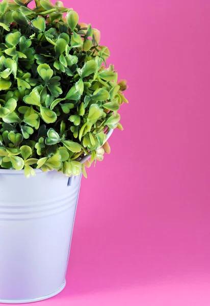 Afbeelding van blikkerig planter met bloem — Stockfoto
