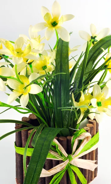 Vaso di fiori di narciso giallo — Foto Stock