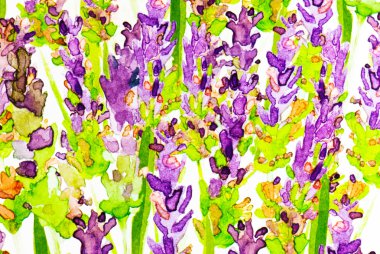 Painting of lavender field clipart
