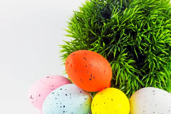 Dyed easter eggs with green decoration — Stock Photo, Image