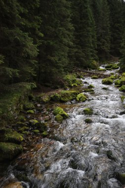 Góry,Tatry