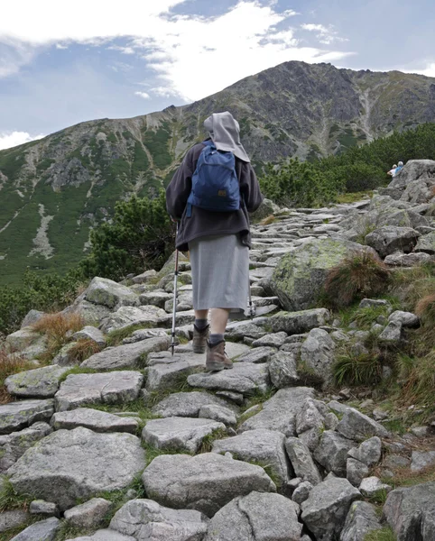 stock image Góry,Tatry