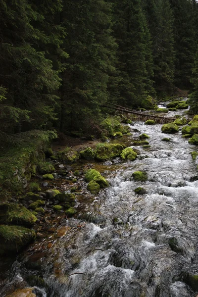 stock image Góry,Tatry