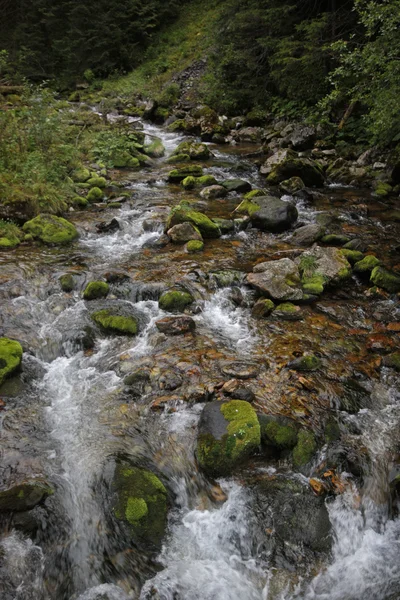 stock image Góry,Tatry