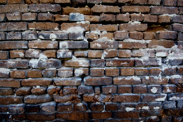 Ceglany mur — Φωτογραφία Αρχείου