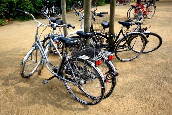 자전거, 경로, 타고, — 스톡 사진