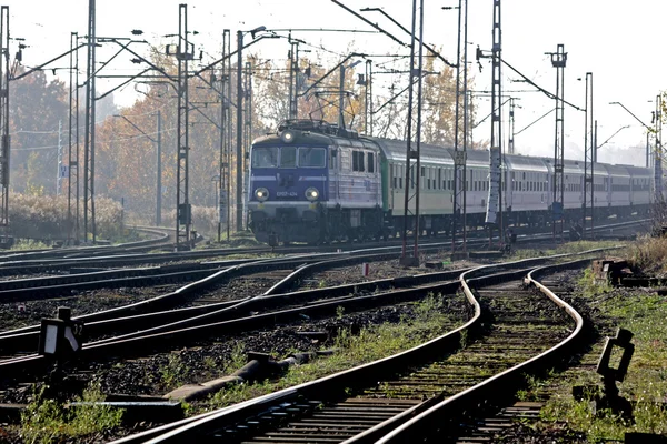 기차, 트랙, 역 — 스톡 사진