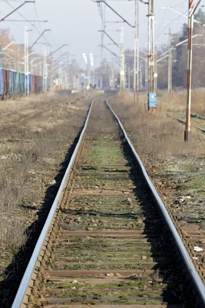 Tåg, spår, station — Stockfoto