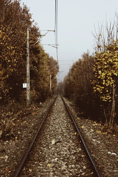 Train, voie, gare — Photo