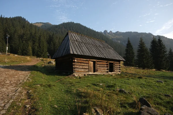 Old wooden cottage in mountains — Stock Photo © tupungato #4539634