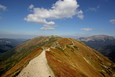 Mountain,Tatry,Poland clipart