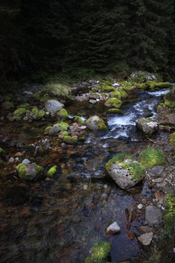 dağ, tatry, Polonya