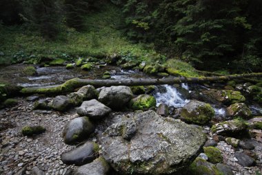 dağ, tatry, Polonya