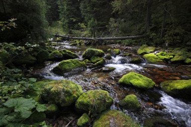 dağ, tatry, Polonya