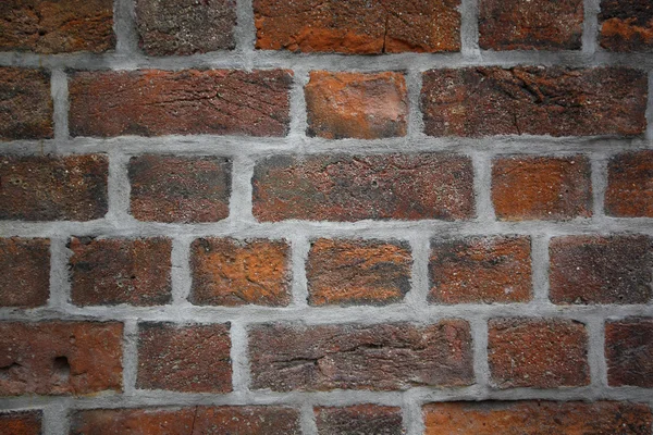 Cegły, ściany — Zdjęcie stockowe