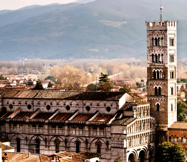 Lucca 대성당의 광경 — 스톡 사진