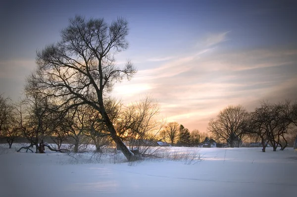 stock image Evening winter landscape