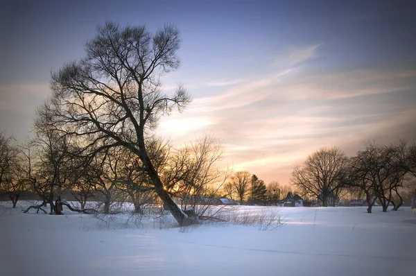 Sera paesaggio invernale Foto Stock