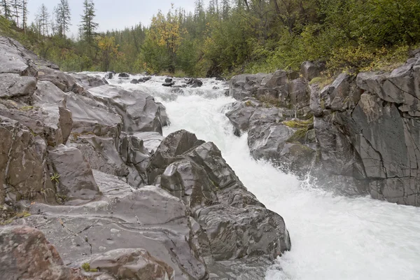The river in rocks — Stock Photo, Image