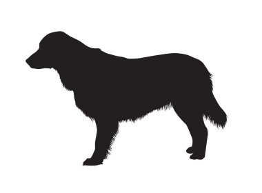 Dog vector clipart