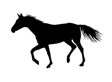 Horse vector clipart