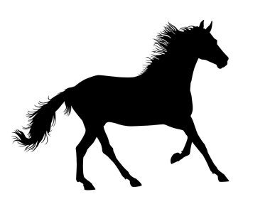 Horse vector clipart