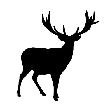 Elk vector clipart